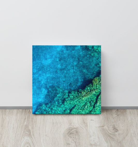 Turquoise Coral Canvas